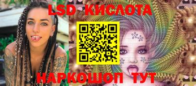 гашик Камышлов