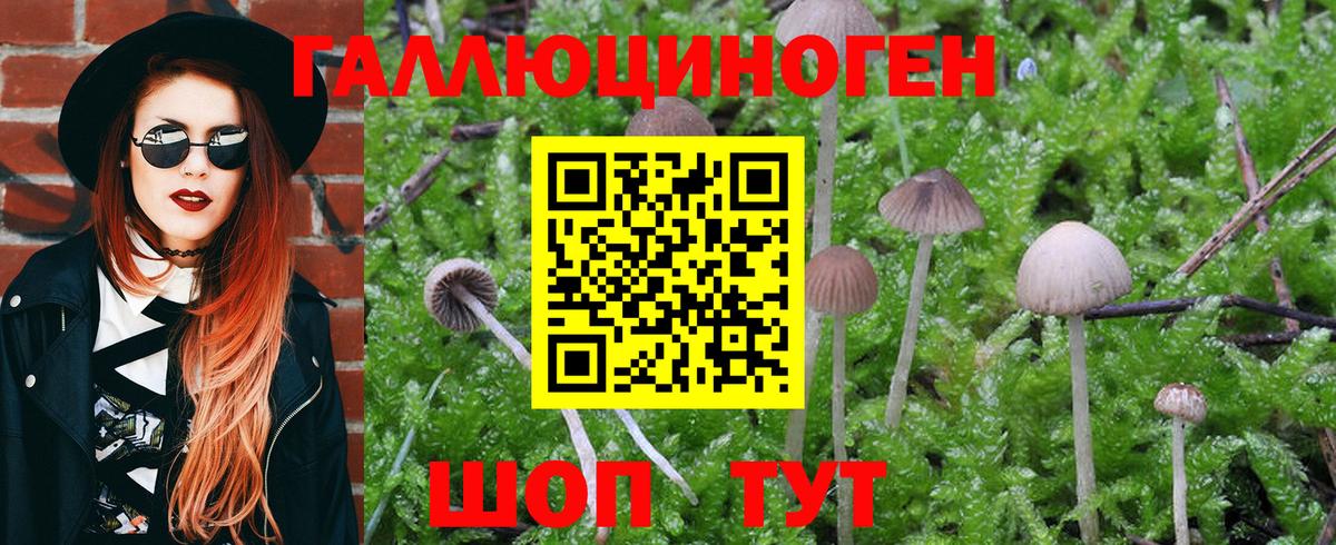 Псилоцибиновые грибы ЛСД Великий Новгород